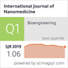 International Journal of Nanomedicine雜志封面